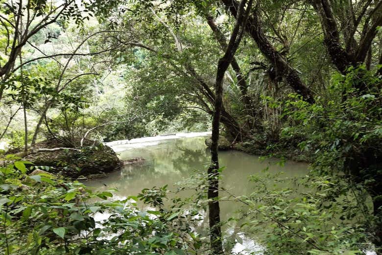 Conociendo la naturaleza de Paicol