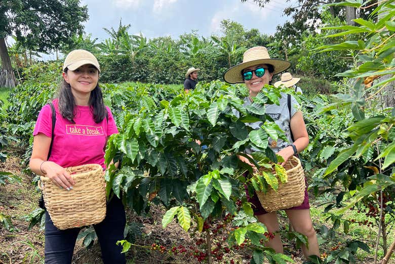 Une activité parfaite à faire entre amis