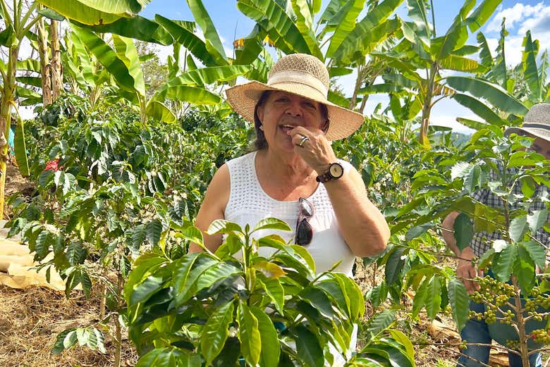Dégustation d'un des grains de café