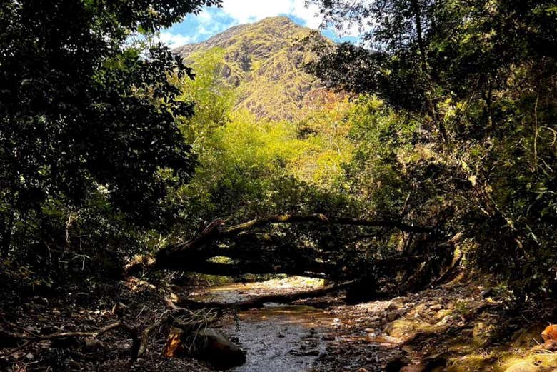 La naturaleza de Palermo