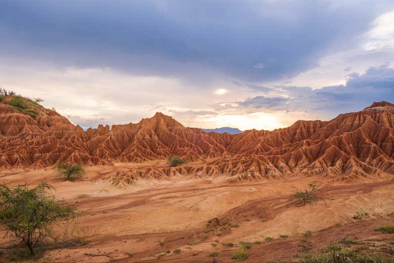Será uma ótima experiência!