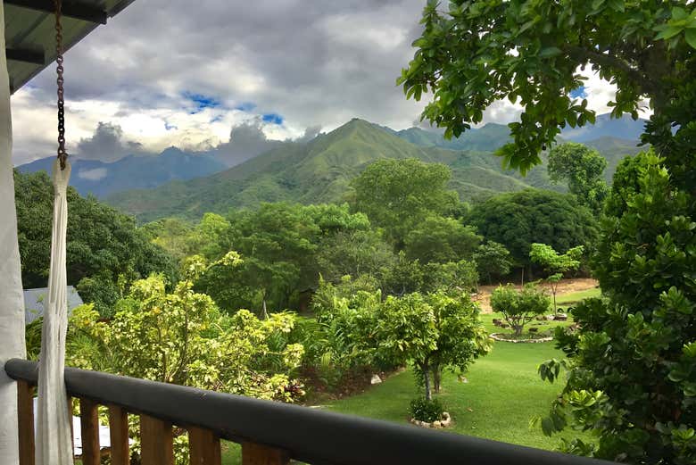 Vistas da fazenda de cacau