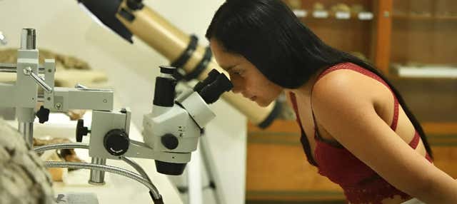 Visite du musée d'histoire naturelle de la Tatacoa + Atelier sur les fossiles
