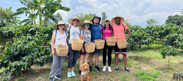 Visite de la ferme de café Don Arnulfo