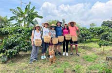 Visita à fazenda cafeeira Don Arnulfo