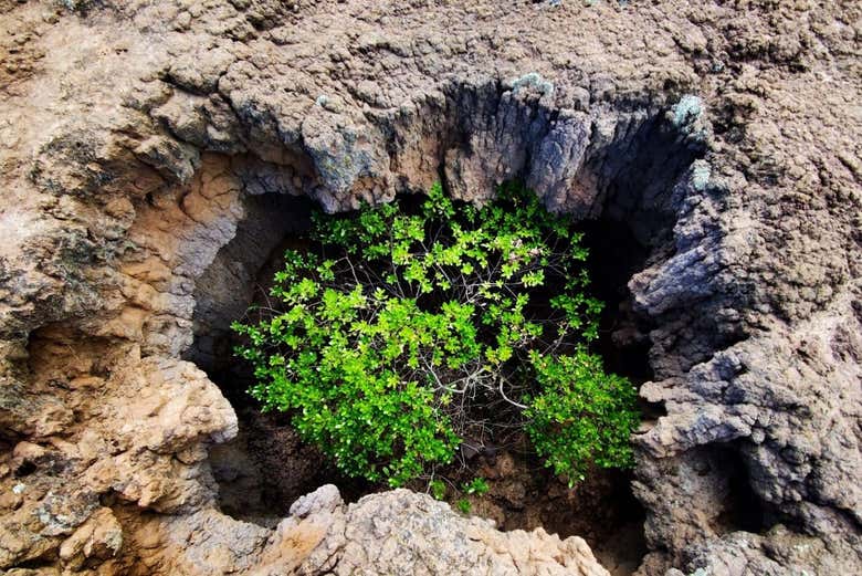 Formações rochosas naturais