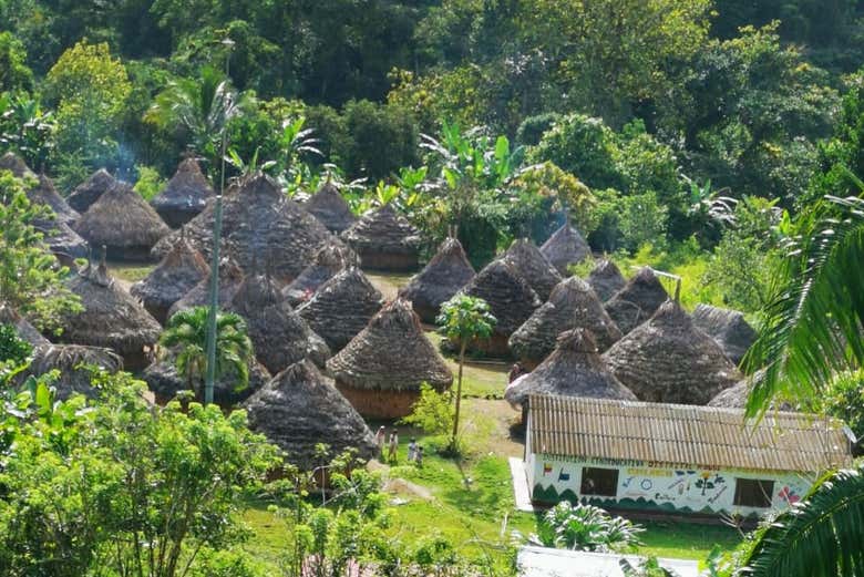 Houses in a Kogi village