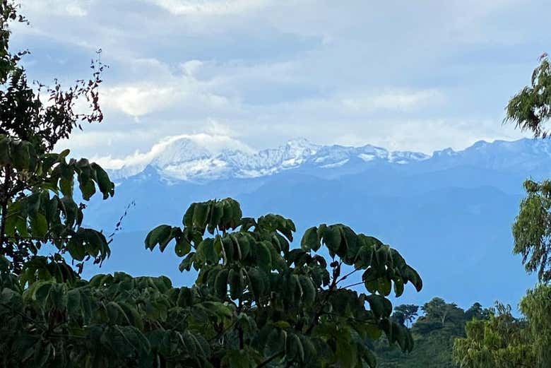 Views from the village