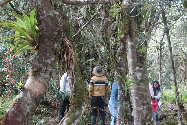 Humedales de Santa Lucía