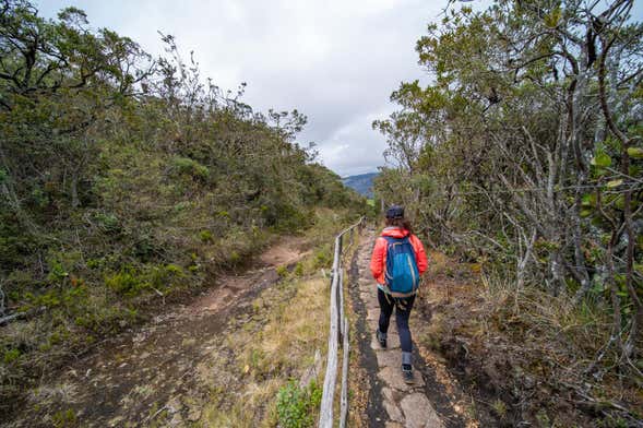 Guachucal + La Cumbal Lagoon Hiking Tour
