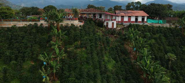 Excursion à la Finca Recuca