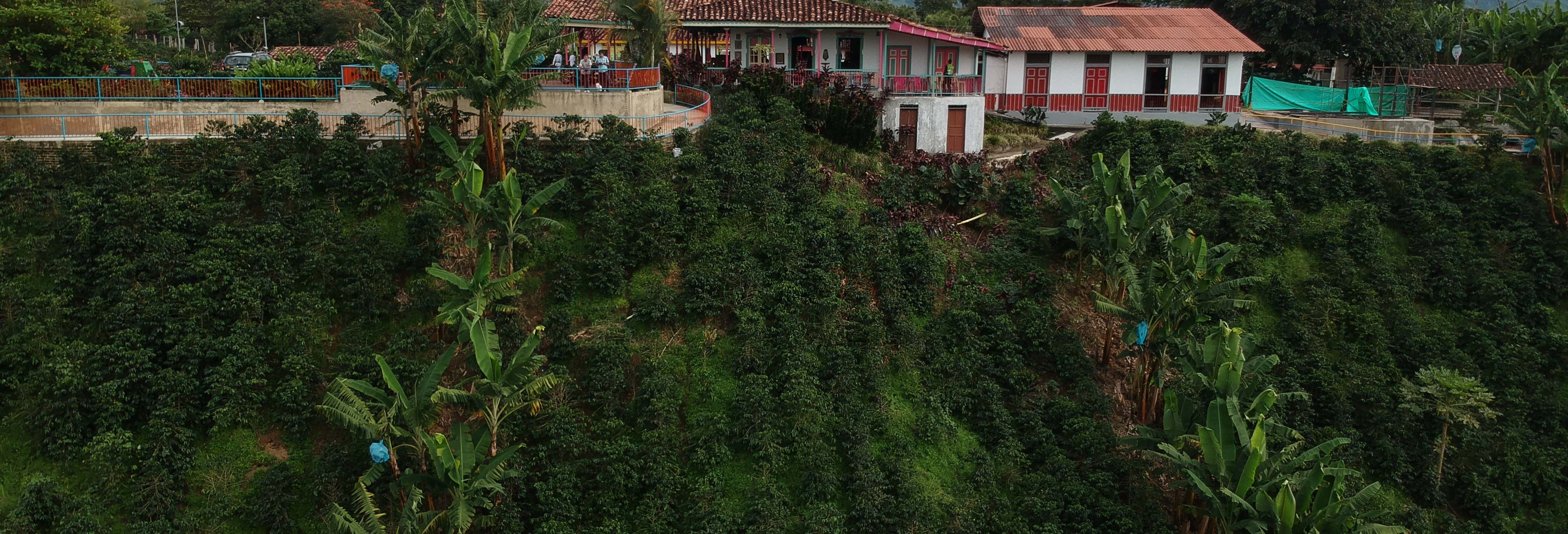 Excursiones de un día en Pereira