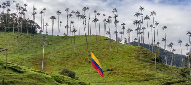 Parque del Café Private Excursion