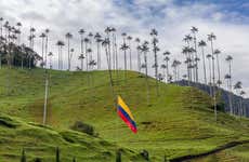 Excursión privada al Parque del Café