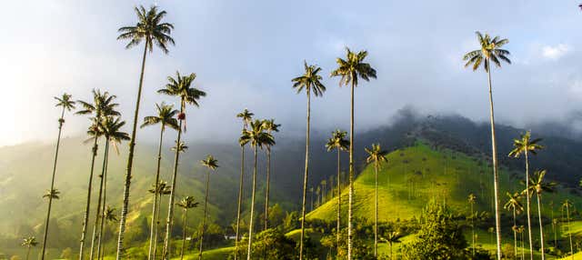 Excursión a Filandia, Salento y Valle de Cocora