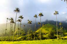 Excursión a Filandia, Salento y Valle de Cocora