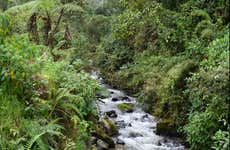 Excursión a los termales de San Vicente