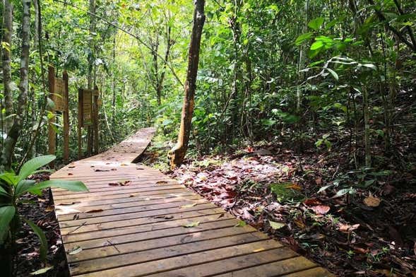 Excursión a La Virginia y El Guásimo