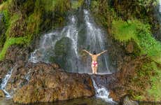 Escursione a una tenuta di caffè + Terme di Santa Rosa di Cabal
