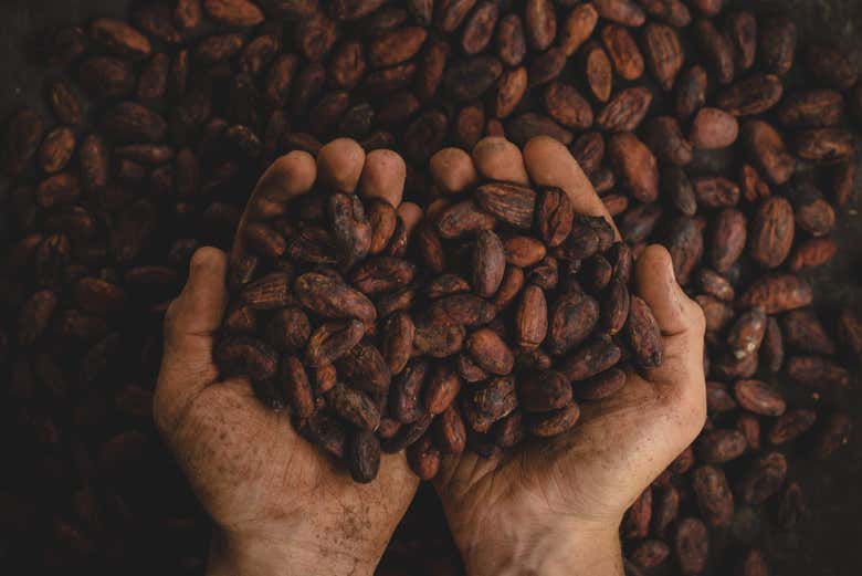 Café propio de Buenavista