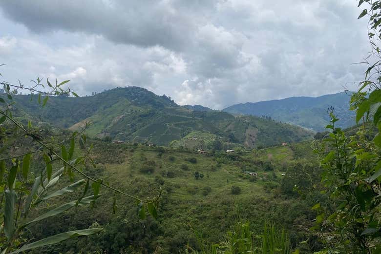 Os encantarán las vistas panorámicas 