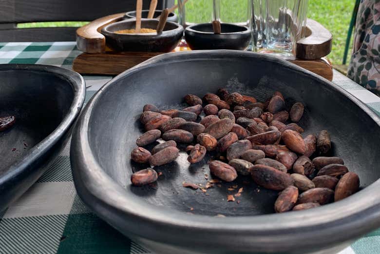 Degustación de cacao seco 