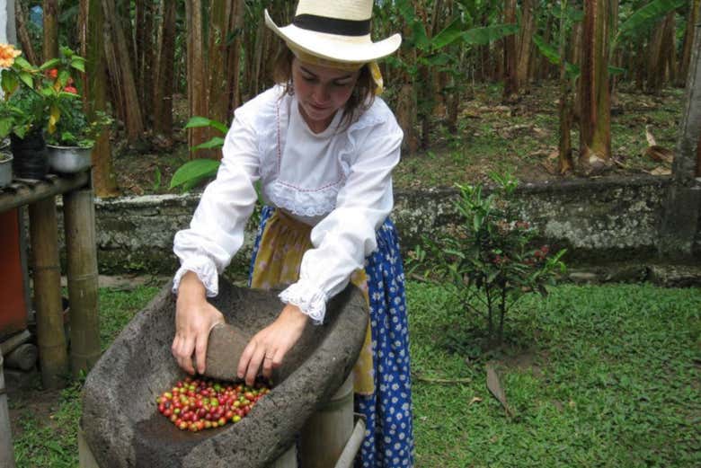 Elaboración del café en la finca Recuca