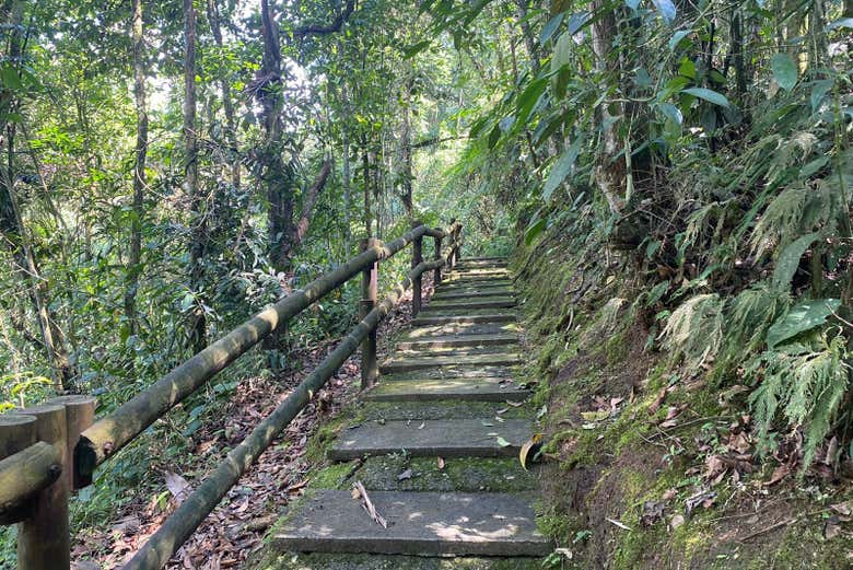 Percorrendo i sentieri del giardino botanico