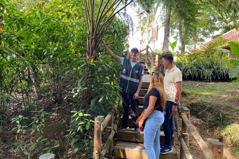 O guia irá explicar curiosidades sobre cada espécie