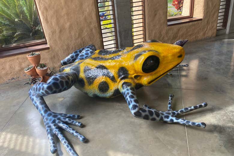 Você verá várias espécies de animais