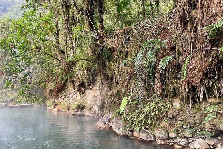 Estaréis rodeados de naturaleza