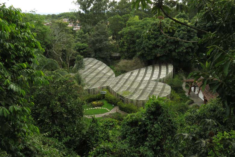 Quindío Butterfly Farm