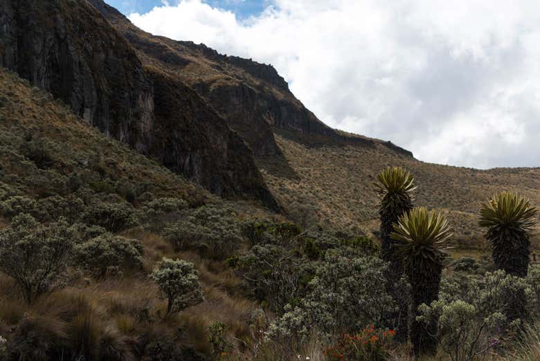 Beautiful scenery at the Santa Isabel Volcano