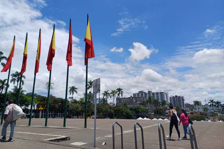 Bandeiras representativas da cidade e da região