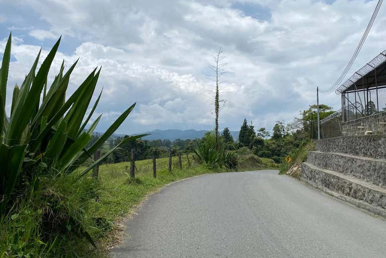 Disfrutaréis del paisaje durante el recorrido