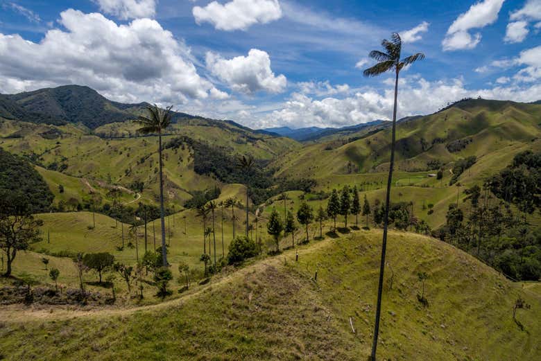 El precioso paisaje del Valle de Cocora