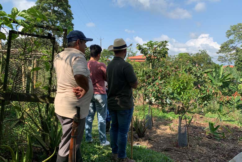 Finca El Turpial Feliz