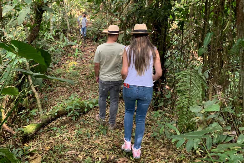 Explore this beautiful finca
