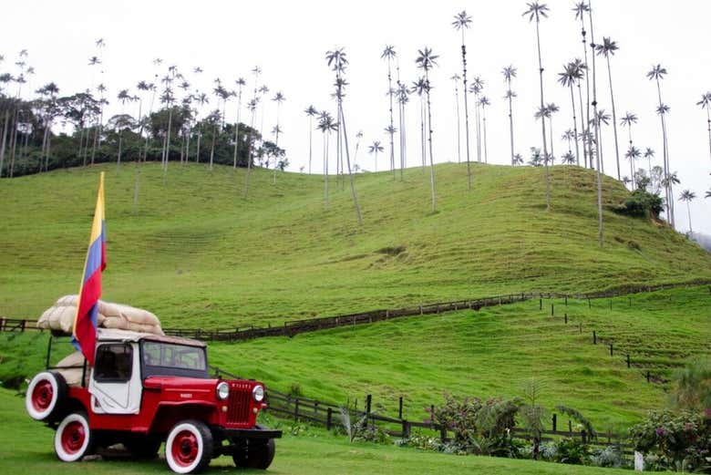 Naturaleza colombiana