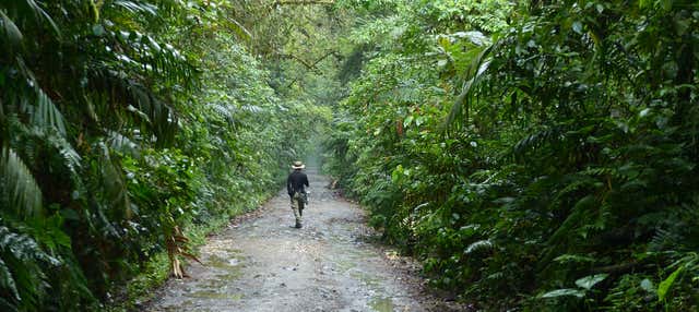 Otún Quimbaya Sanctuary Hike