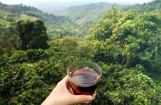 Taller de café en Pereira