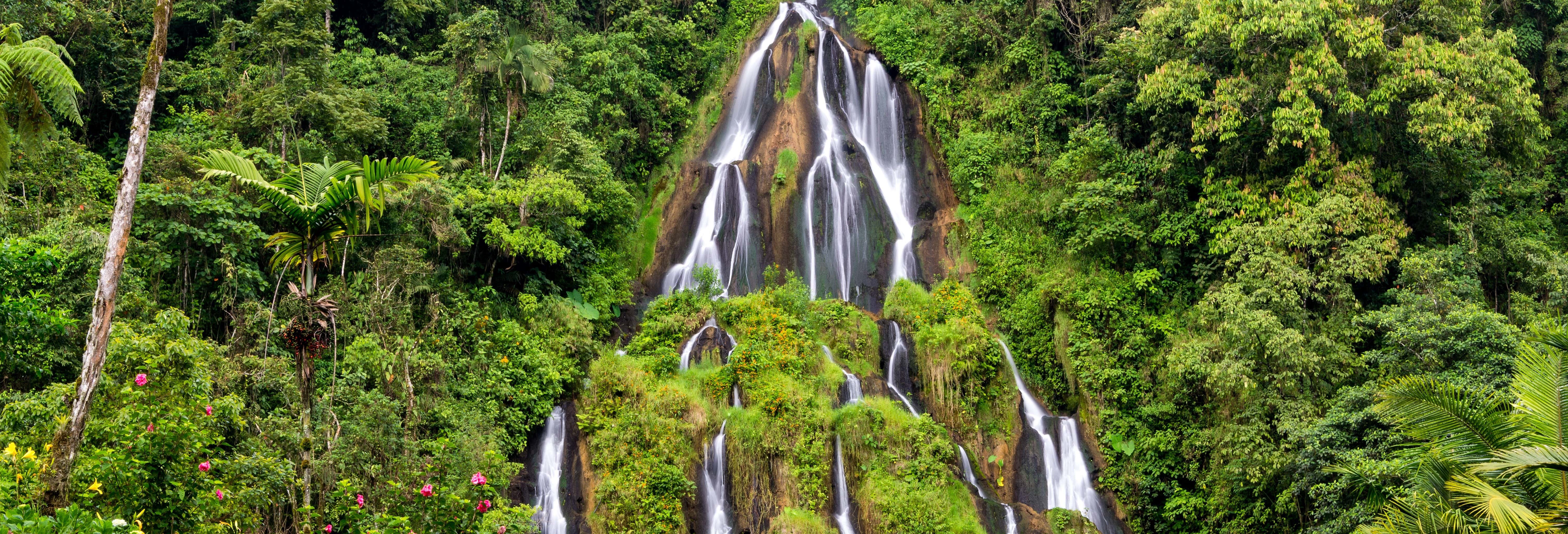 Day trips in Pereira