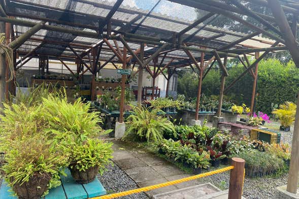 Tour por el Jardín Botánico de Pereira