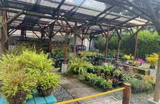 Visite du jardin botanique de Pereira