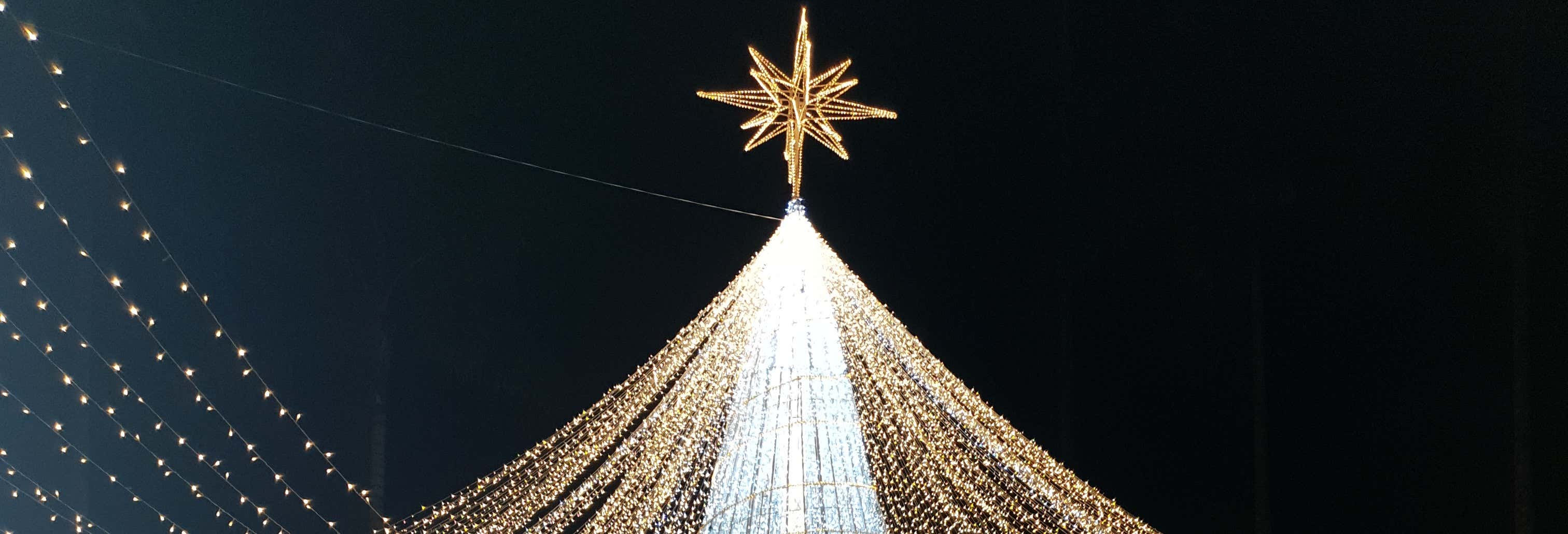 Visitas guiadas y free tours en Pereira