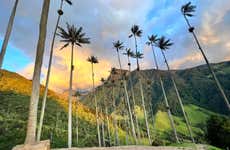 Transporte entre Pereira o Armenia y el Valle de Cocora