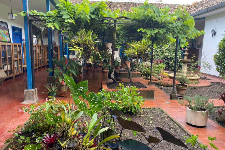 Vegetación colombiana