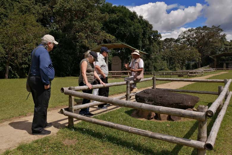 Durante la actividad