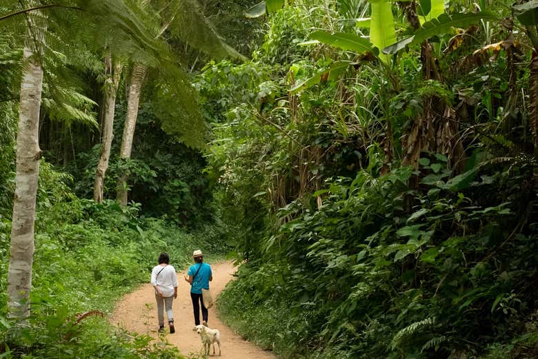 Caminando por los senderos de las fincas
