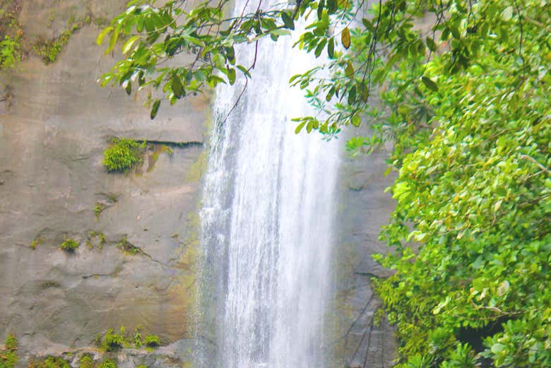 Cascata La Sierpe, una delle attrazioni di Bahía Malaga